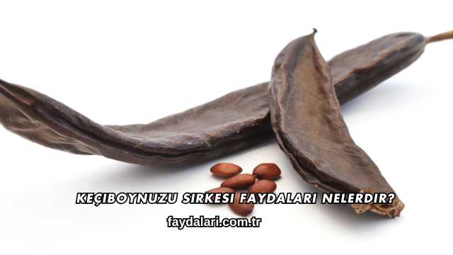 Keçiboynuzu Sirkesi Faydaları Nelerdir?