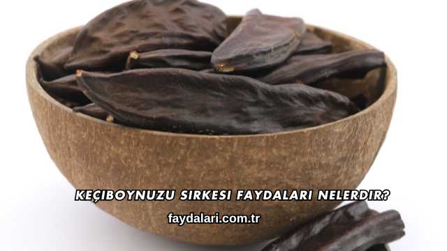 Keçiboynuzu Sirkesi Faydaları Nelerdir?