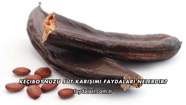 Keçiboynuzu Süt Karışımı Faydaları Nelerdir?