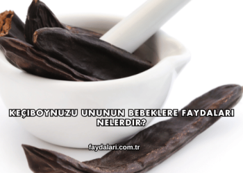 Keçiboynuzu Ununun Bebeklere Faydaları Nelerdir?