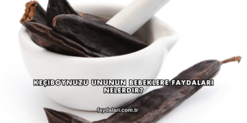 Keçiboynuzu Ununun Bebeklere Faydaları Nelerdir?