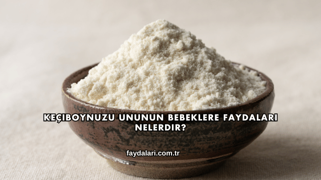 Keçiboynuzu Ununun Bebeklere Faydaları Nelerdir?