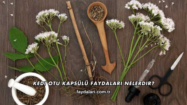 Kedi Otu Kapsülü Faydaları Nelerdir?