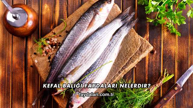 Kefal Balığı Faydaları Nelerdir?