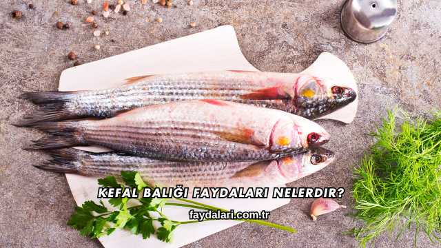 Kefal Balığı Faydaları Nelerdir?