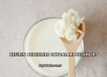 Kefirin Bebeklere Faydaları Nelerdir?
