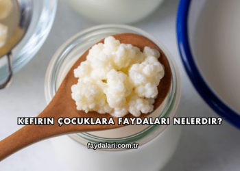Kefirin Çocuklara Faydaları Nelerdir?