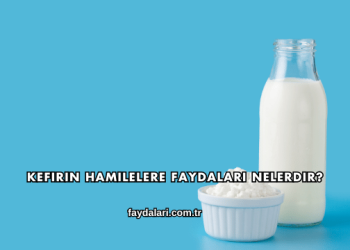 Kefirin Hamilelere Faydaları Nelerdir?
