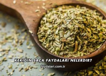 Kekiğin Saça Faydaları Nelerdir?