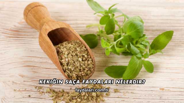 Kekiğin Saça Faydaları Nelerdir?