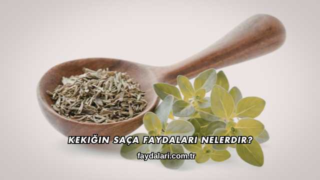 Kekiğin Saça Faydaları Nelerdir?