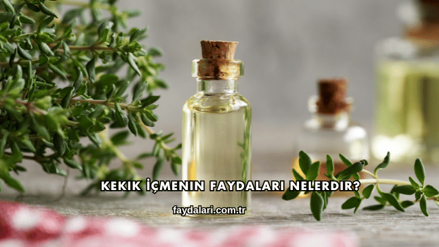 Kekik İçmenin Faydaları Nelerdir?