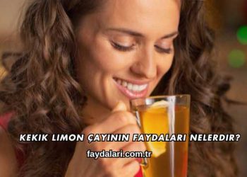 Kekik Limon Çayının Faydaları Nelerdir?
