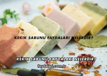Kekik Sabunu Faydaları Nelerdir?