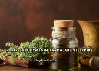 Kekik Suyu İçmenin Faydaları Nelerdir?