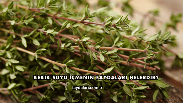 Kekik Suyu İçmenin Faydaları Nelerdir?