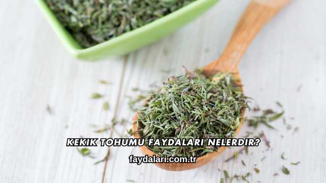 Kekik Tohumu Faydaları Nelerdir?