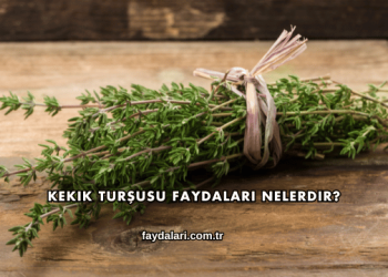 Kekik Turşusu Faydaları Nelerdir?