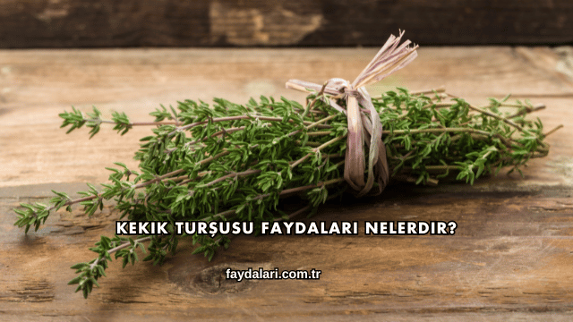 Kekik Turşusu Faydaları Nelerdir?