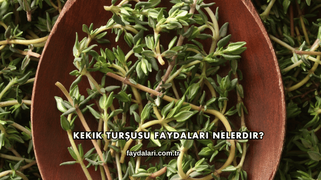 Kekik Turşusu Faydaları Nelerdir?