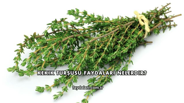 Kekik Turşusu Faydaları Nelerdir?