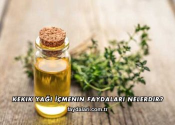 Kekik Yağı İçmenin Faydaları Nelerdir?