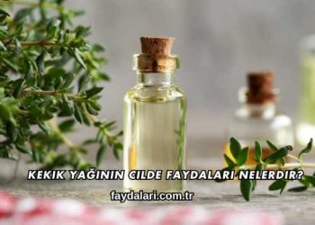 Kekik Yağının Cilde Faydaları Nelerdir?