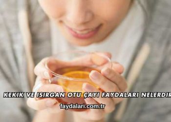 Kekik ve Isırgan Otu Çayı Faydaları Nelerdir?