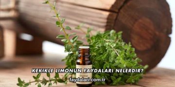 Kekikle Limonun Faydaları Nelerdir?