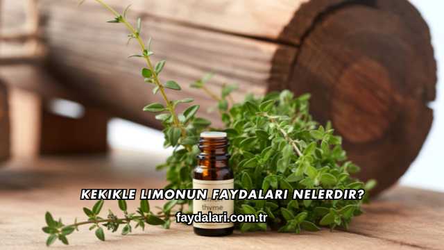 Kekikle Limonun Faydaları Nelerdir?