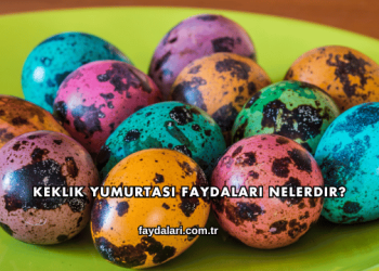 Keklik Yumurtası Faydaları Nelerdir?