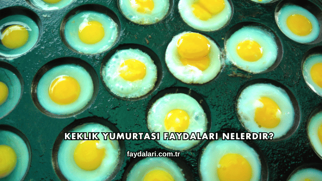 Keklik Yumurtası Faydaları Nelerdir?