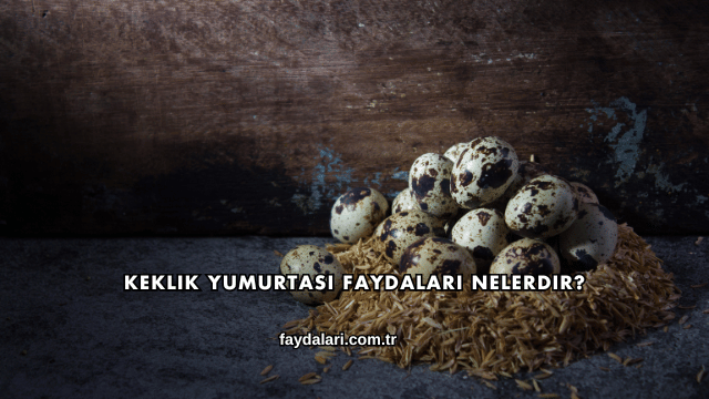 Keklik Yumurtası Faydaları Nelerdir?