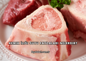 Kemik İliği Suyu Faydaları Nelerdir?