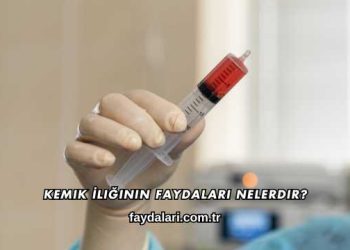 Kemik İliğinin Faydaları Nelerdir?