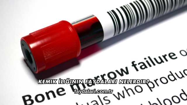 Kemik İliğinin Faydaları Nelerdir?