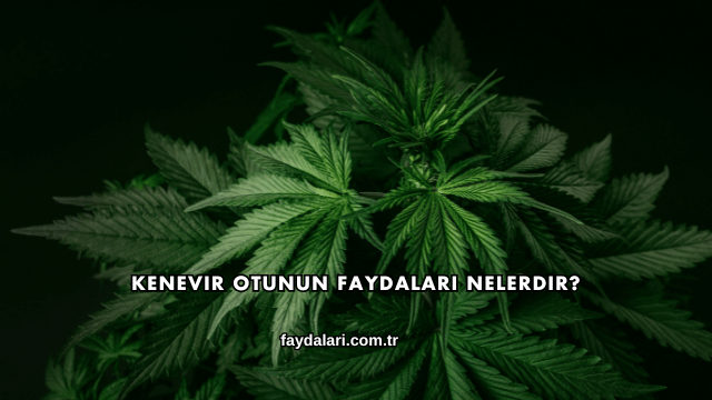 Kenevir Otunun Faydaları Nelerdir?