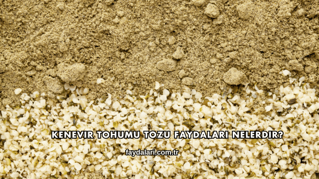Kenevir Tohumu Tozu Faydaları Nelerdir?