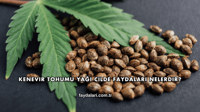 Kenevir Tohumu Yağı Cilde Faydaları Nelerdir?