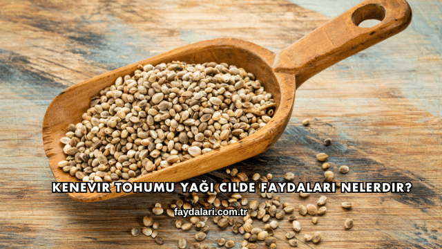 Kenevir Tohumu Yağı Cilde Faydaları Nelerdir?
