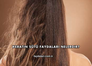 Keratin Sütü Faydaları Nelerdir?