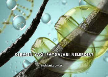 Keratin Yağı Faydaları Nelerdir?