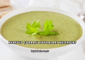 Kereviz Çorbası Faydaları Nelerdir?