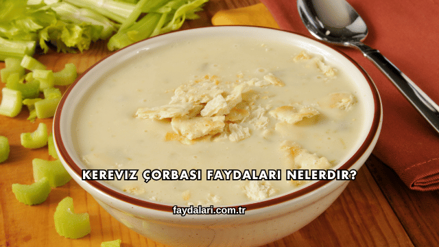 Kereviz Çorbası Faydaları Nelerdir?