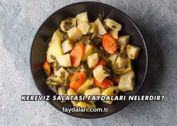 Kereviz Salatası Faydaları Nelerdir?