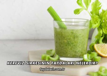Kereviz Sirkesinin Faydaları Nelerdir?