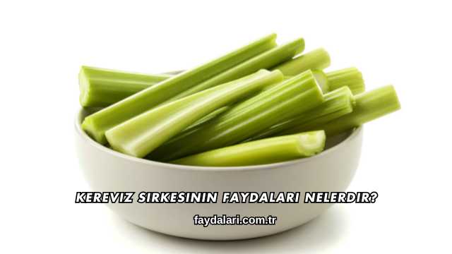 Kereviz Sirkesinin Faydaları Nelerdir?