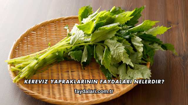 Kereviz Yapraklarının Faydaları Nelerdir?