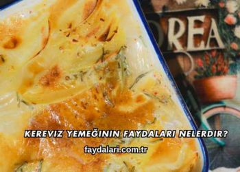 Kereviz Yemeğinin Faydaları Nelerdir?