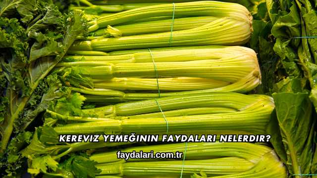 Kereviz Yemeğinin Faydaları Nelerdir?